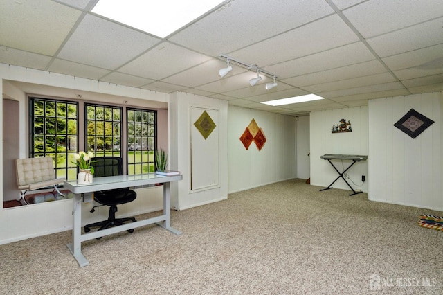 carpeted office space with a drop ceiling and track lighting