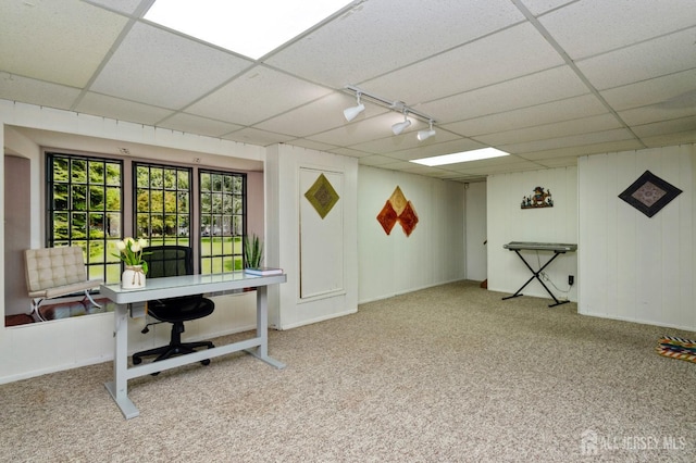 office area with rail lighting, carpet flooring, and a drop ceiling