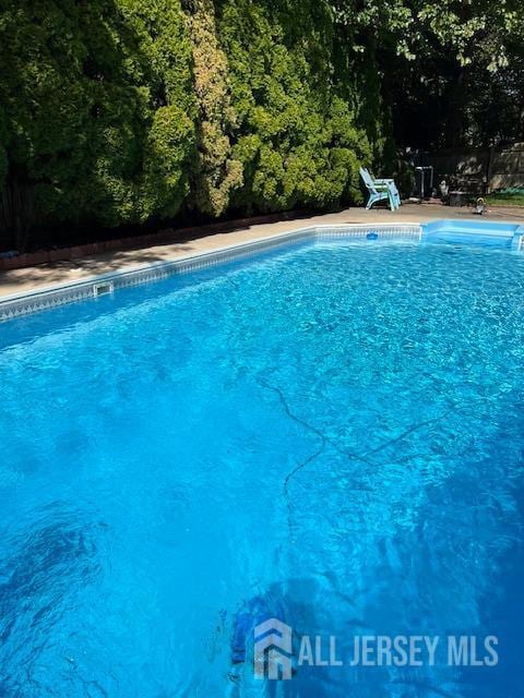 24 Sandalwood Dr, Edison, NJ 08820 - swimming pool with a forest view