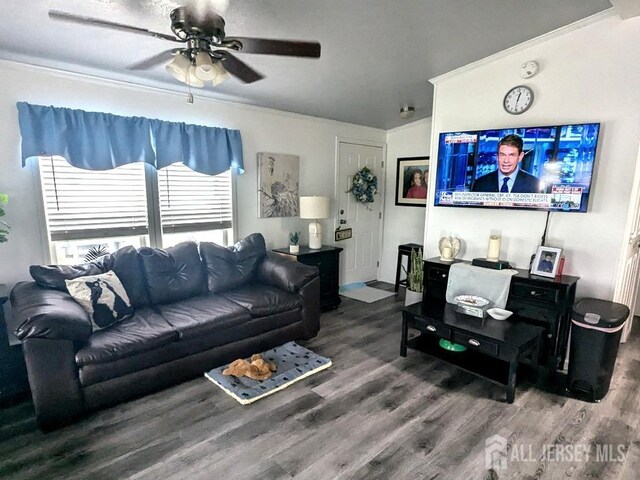 living room with hardwood / wood-style flooring and ceiling fan