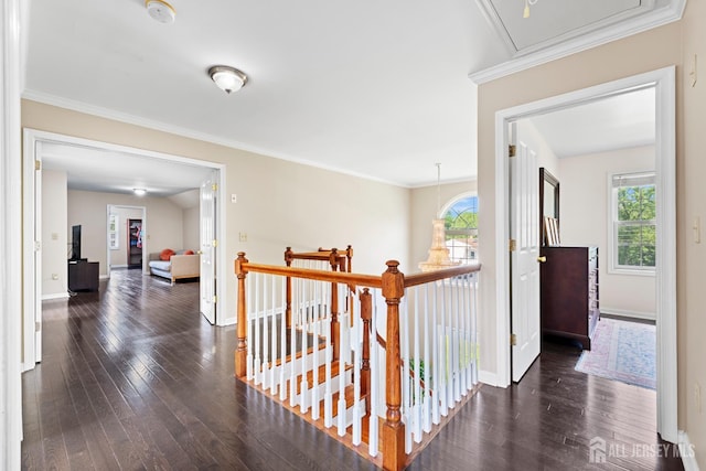 315 Park Ave, Piscataway, NJ 08854 - photo 22