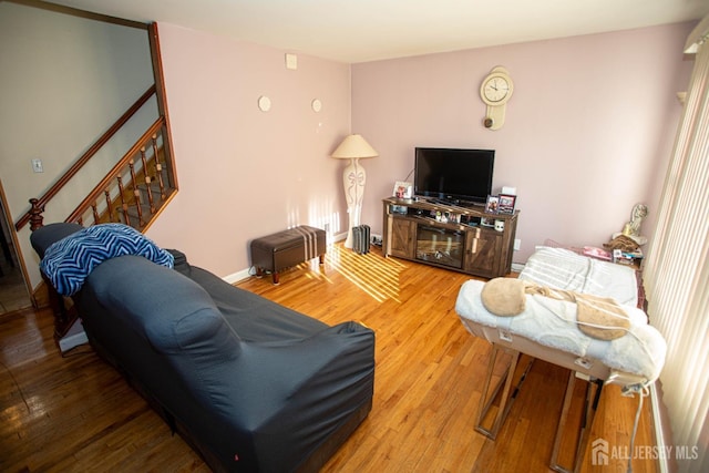 living room featuring light hardwood / wood-style flooring