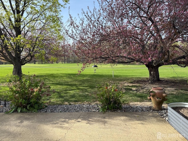492 Delair Rd Unit C, Monroe, NJ 08831 - photo 16