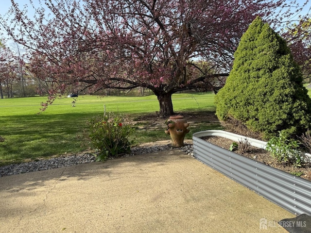 492 Delair Rd Unit C, Monroe, NJ 08831 - photo 15