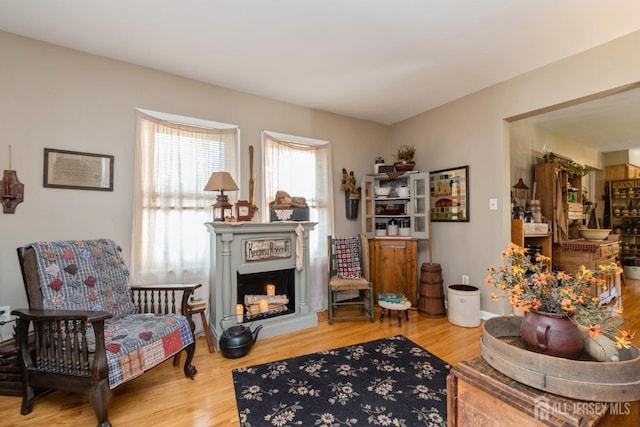245 S Madison Ave S, Dunellen, NJ 08812 - sitting room featuring wood finished floors and a lit fireplace