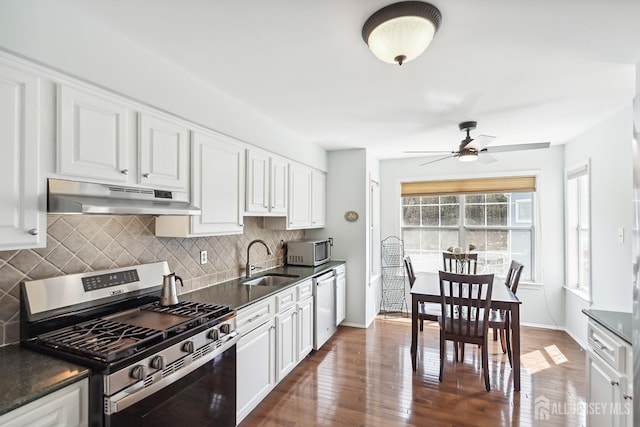 2 Honey Locust Ln, Howell, NJ 07731 - kitchen featuring stainless steel appliances, under cabinet range hood, white cabinetry, and tasteful backsplash