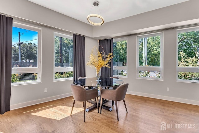 dining room featuring light wood-type flooring and a healthy amount of sunlight