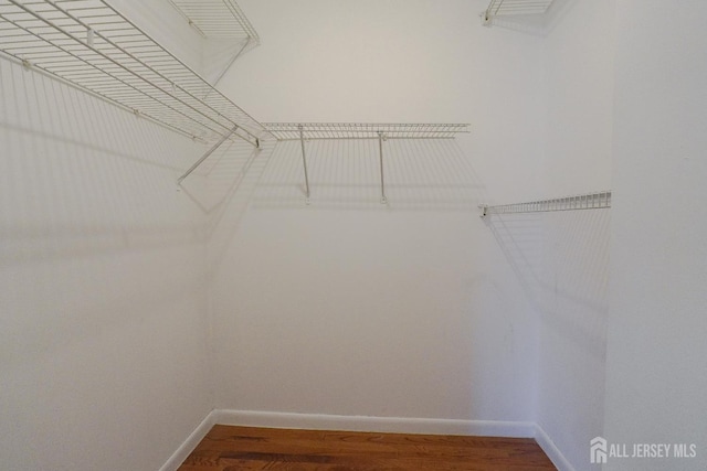 14 Carriage Pl, Edison, NJ 08820 - walk in closet with wood finished floors