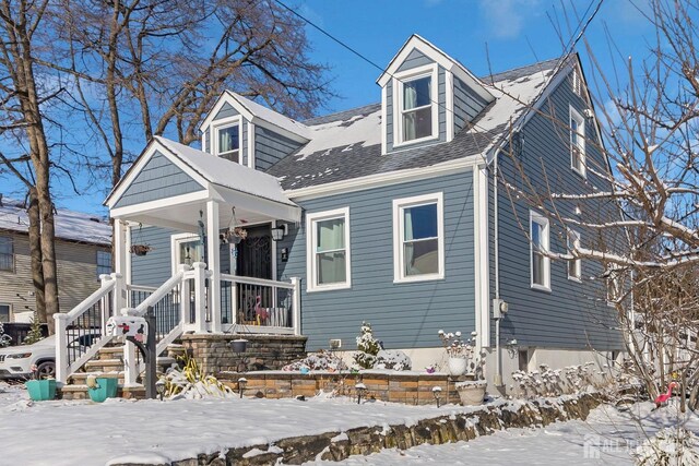 view of cape cod house