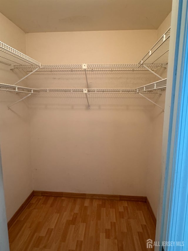 93 Mansfield Ave, Manchester, NJ 08579 - spacious closet featuring light wood finished floors