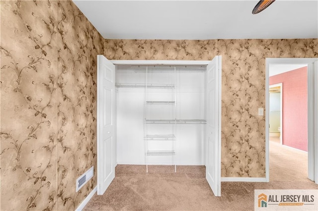 view of closet