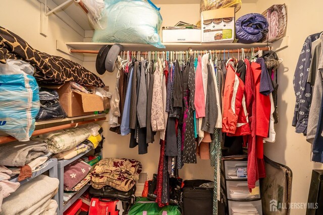 view of spacious closet