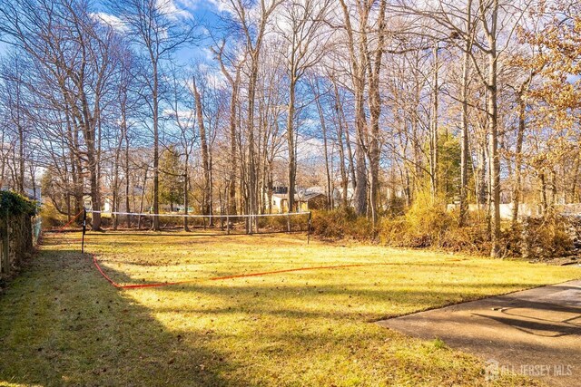 view of yard featuring volleyball court