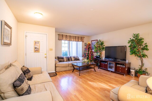 living room with light wood-type flooring