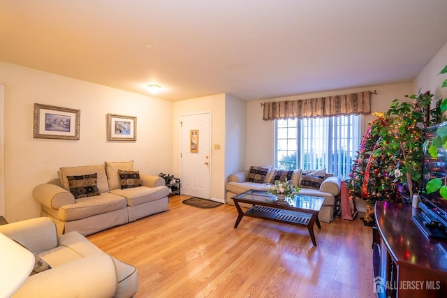 living room with hardwood / wood-style flooring