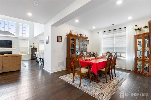 dining space featuring plenty of natural light and dark wood-type flooring