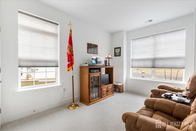 living area featuring carpet floors