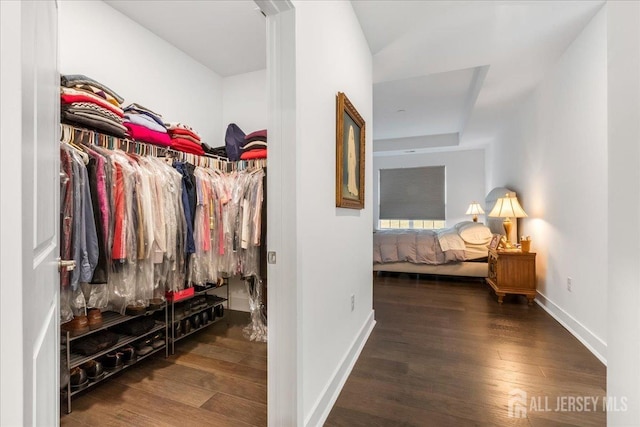 spacious closet with dark hardwood / wood-style floors