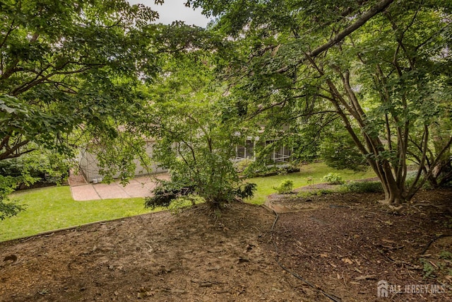 17 Stephens Dr, East Brunswick, NJ 08816 - photo 56