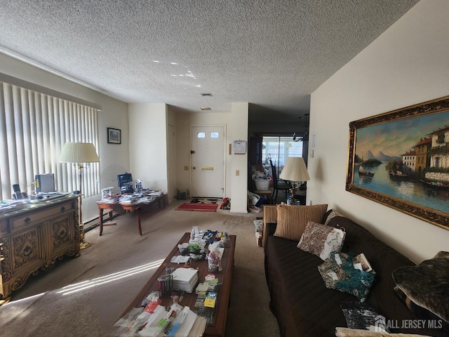 309-C Sharon Way, Monroe, NJ 08831 - living room featuring carpet and a textured ceiling