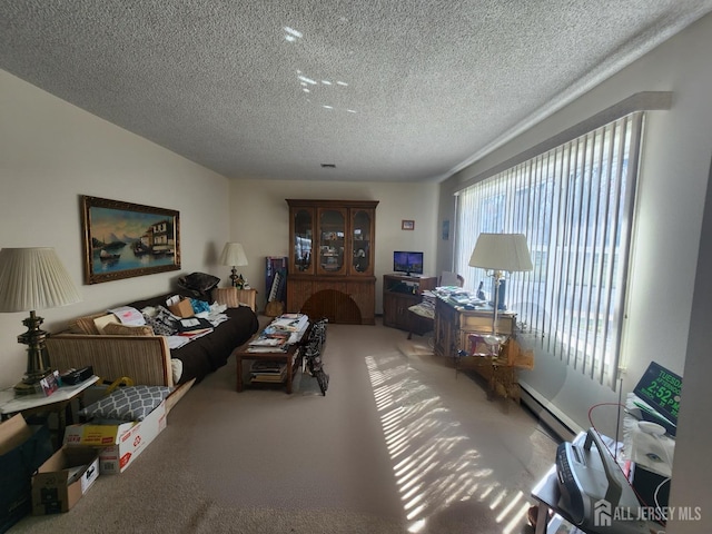 309-C Sharon Way, Monroe, NJ 08831 - living area with baseboard heating, carpet, and a textured ceiling