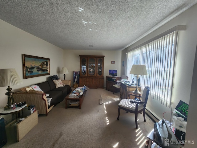 309-C Sharon Way, Monroe, NJ 08831 - carpeted living room with a baseboard radiator, plenty of natural light, and a textured ceiling
