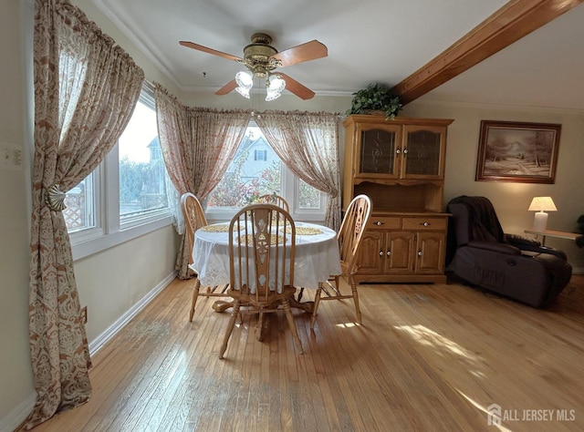 1515 Thomas Ave, North Brunswick, NJ 08902 - dining space featuring plenty of natural light, light wood-style floors, ceiling fan, baseboards, and crown molding