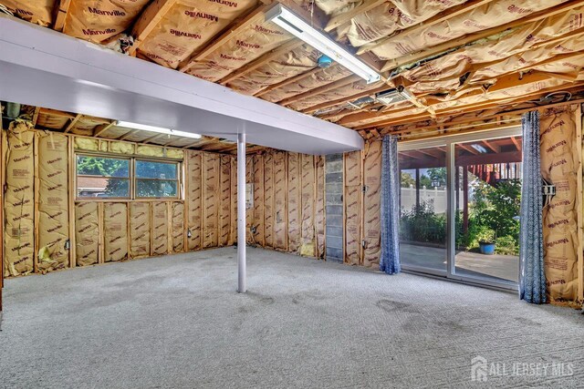 250 Adirondack Ave, Spotswood, NJ 08884 - below grade area with carpet