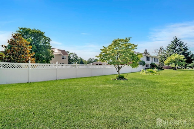 250 Adirondack Ave, Spotswood, NJ 08884 - view of yard