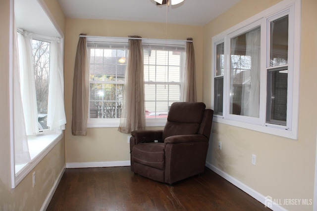 sitting room with dark hardwood / wood-style floors