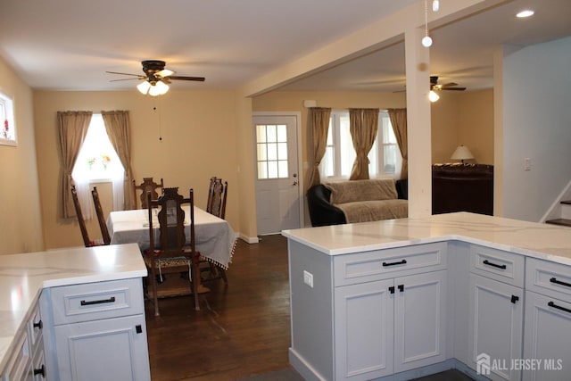 kitchen with white cabinets, ceiling fan, and a healthy amount of sunlight