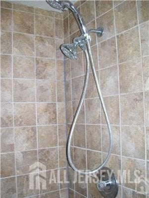 19 Haag St, Sayreville, NJ 08872 - full bath with tiled shower