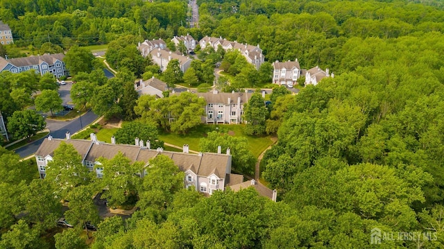 85 W Shrewsbury Pl, Princeton, NJ 08540 - aerial view of residential area with a heavily wooded area