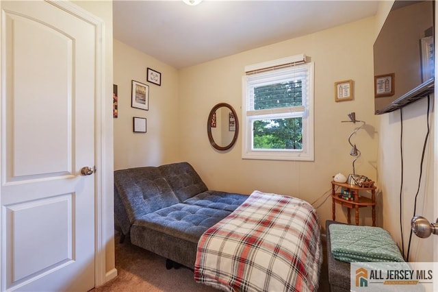 130 Tunison Rd, New Brunswick, NJ 08901 - photo 24