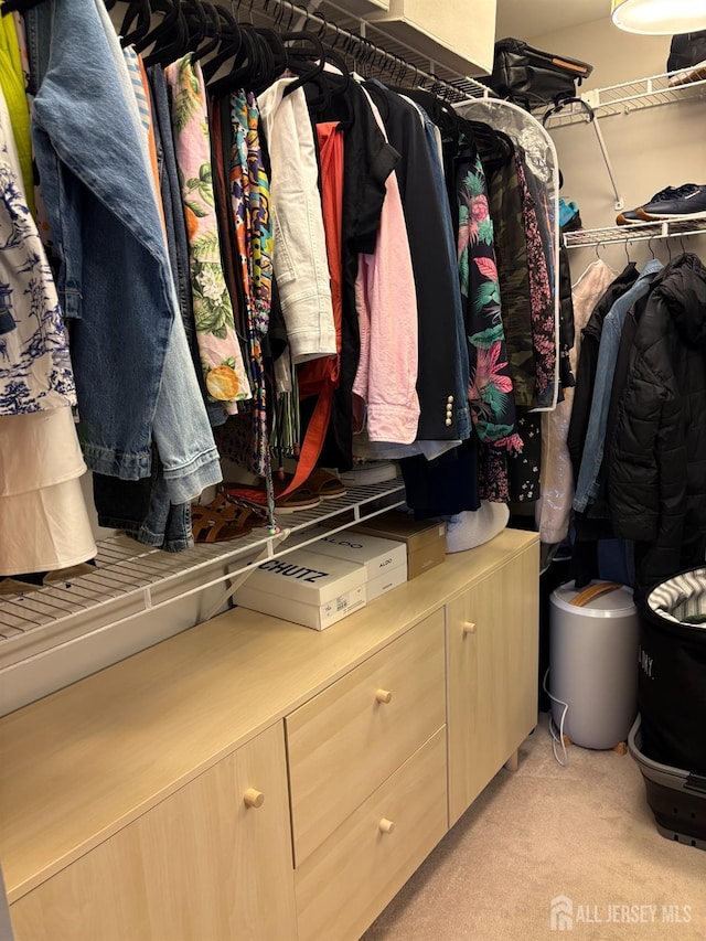 walk in closet with light colored carpet