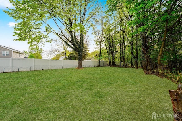 2 Buttonwood Dr, Parlin, NJ 08859 - view of yard