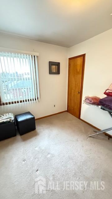 interior space with carpet and baseboards