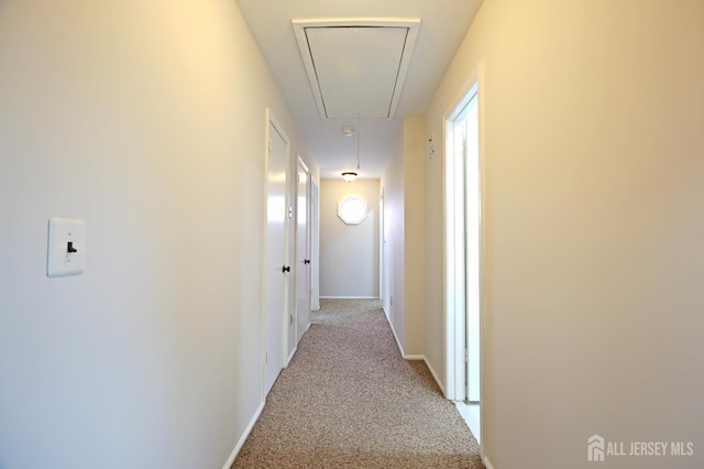 19 Wetherhill Way S, Brunswick, NJ 08810 - photo 25