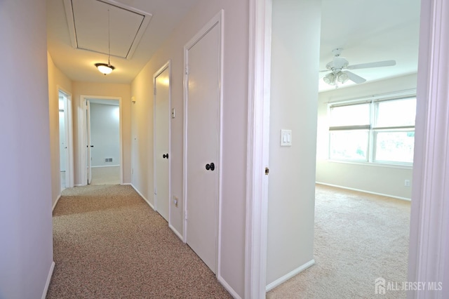 19 Wetherhill Way S, Brunswick, NJ 08810 - photo 27