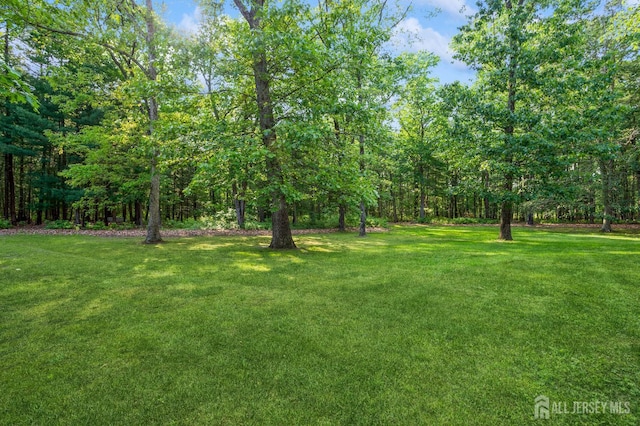 5 Ramapo Ct, Colts Neck, NJ 07722 - view of grassy yard with a forest view