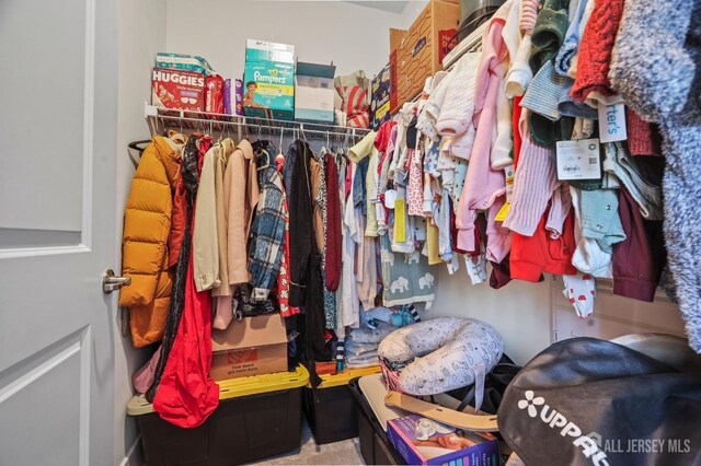 view of spacious closet