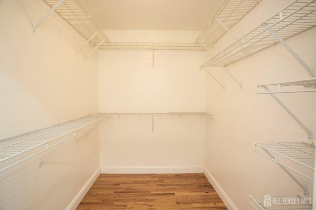 spacious closet featuring light wood-style floors