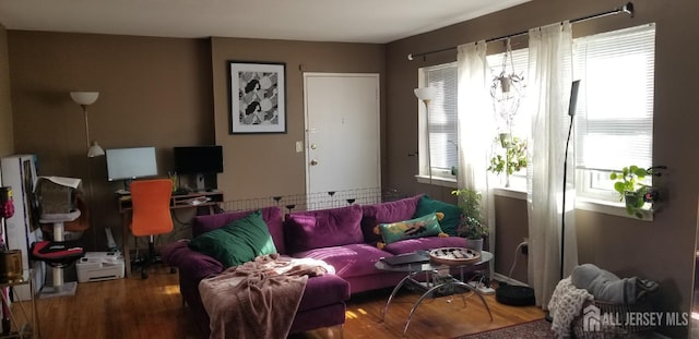197 Evergreen Rd Unit 3A, Edison, NJ 08837 - living room with plenty of natural light, wood finished floors, and an office area