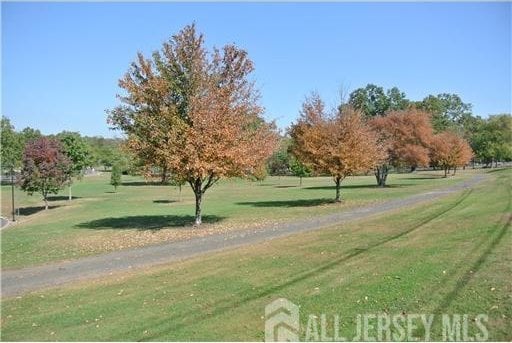 view of property's community featuring a lawn