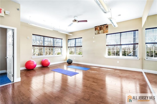 448 Tower Blvd Unit 448, Piscataway, NJ 08854 - exercise area with wood finished floors, baseboards, and a ceiling fan