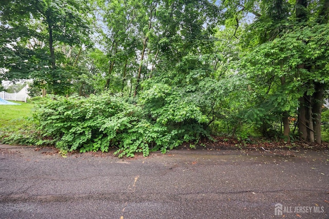 323 Buckelew Ave, Monroe, NJ 08831 - photo 42