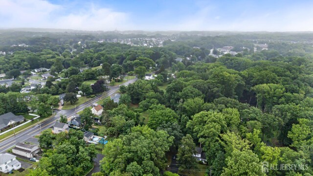 323 Buckelew Ave, Monroe, NJ 08831 - photo 45