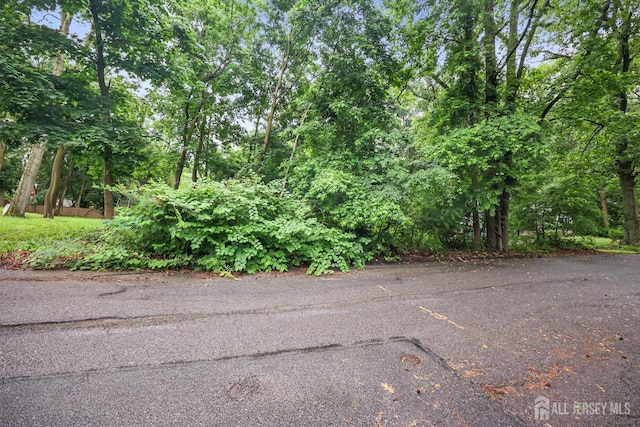 323 Buckelew Ave, Monroe, NJ 08831 - photo 41