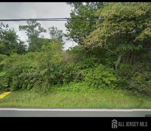 479 Skillmans Ln, Franklin NJ, 08873 land for sale