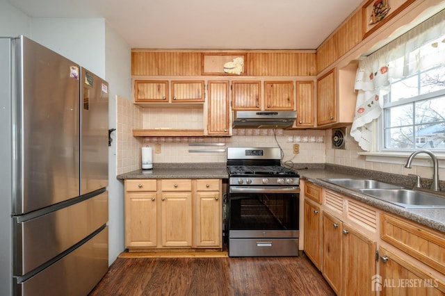 kitchen with tasteful backsplash, appliances with stainless steel finishes, sink, and dark hardwood / wood-style flooring